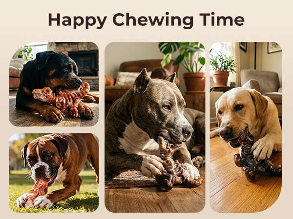 DOG TOYS