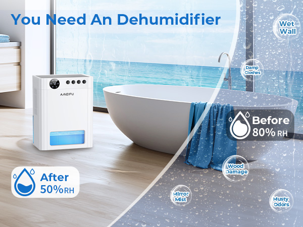 Dehumidifier