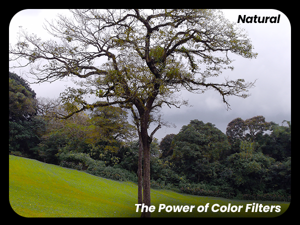 saturation and hue controls, vibrant color settings, UHD 4k 64 Megapixel quality color enhancement