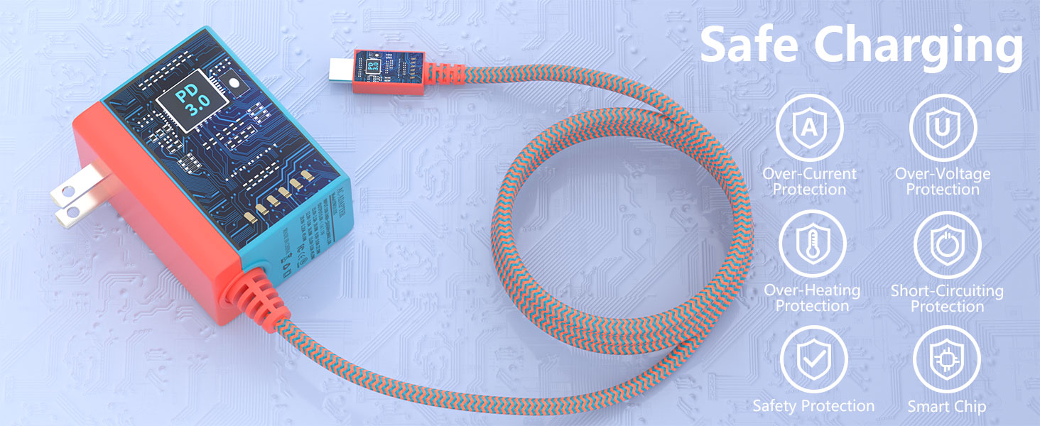 Charger for Switch