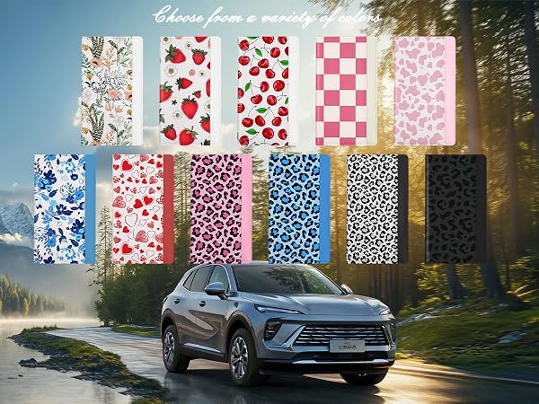 Car Registration Holder
