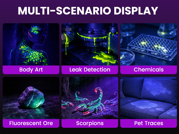 ultraviolet flashlight