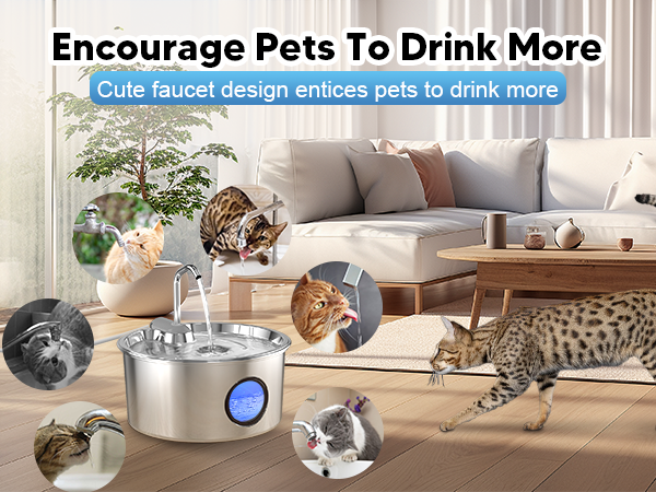 cat fountains for drinking
