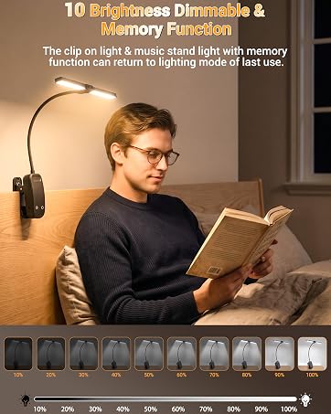 Clip on Light