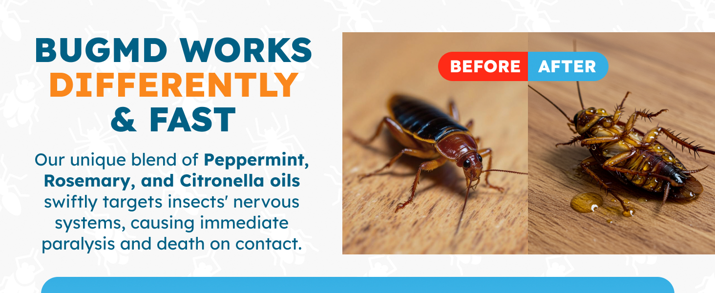 Indoor ant spray for quick ant control prevention safe for kitchens bedrooms living areas