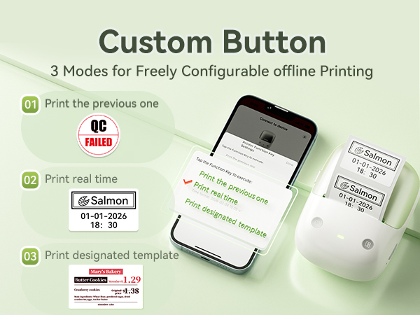 NIIMBOT B2 PRO Portable LABEL MAKER red black color printing
