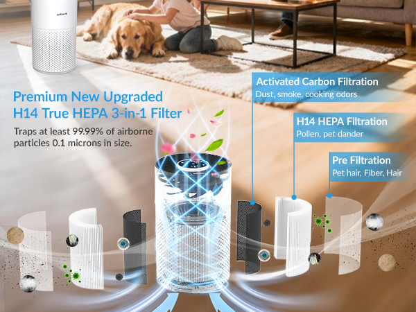 Air purifier for home