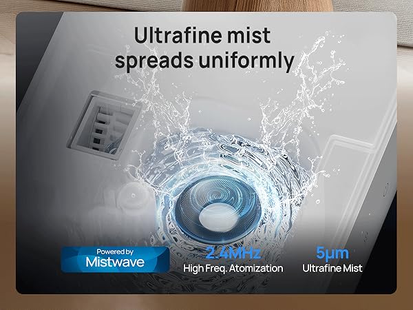 plant humidifier indoor