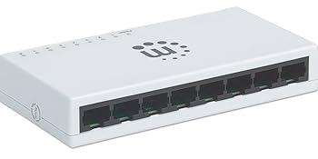 manhattan ethernet switch