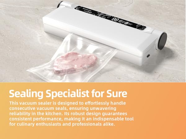 vacuum sealer
