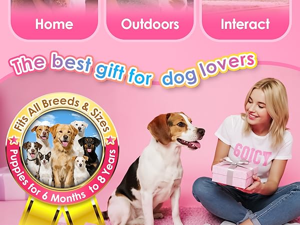 Compact and portable design