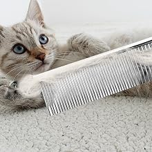 cat brush