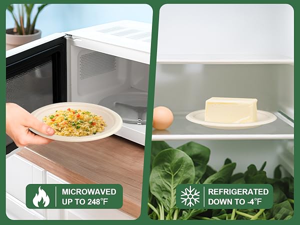 Compostable Paper Plates