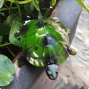 realistic rc turtle remote control tortoise toy animal kids gifts