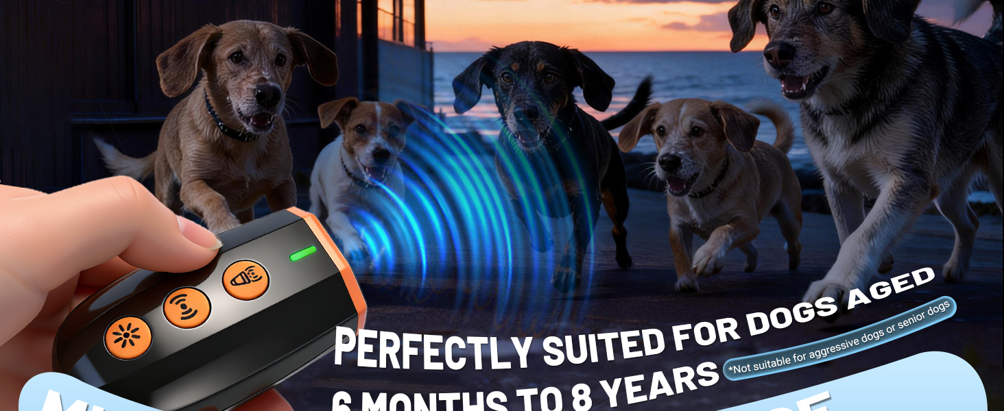 ultrasonic dog bark deterrent