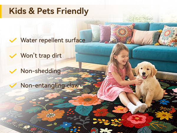 rug