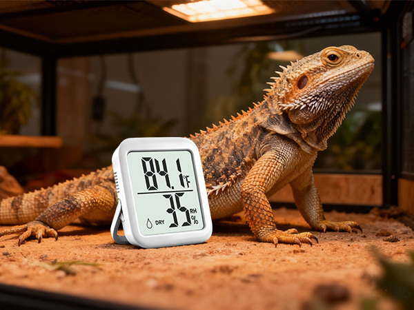 room temperature monitor