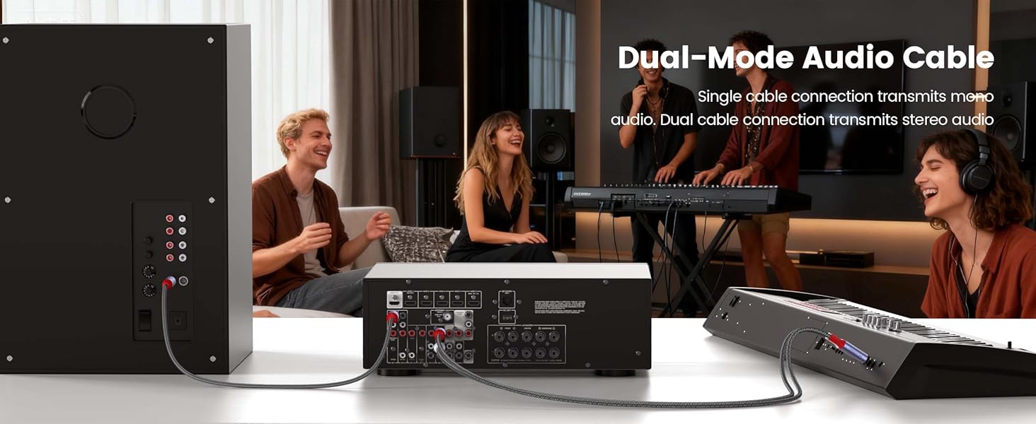 Dual-Mode Audio Cable