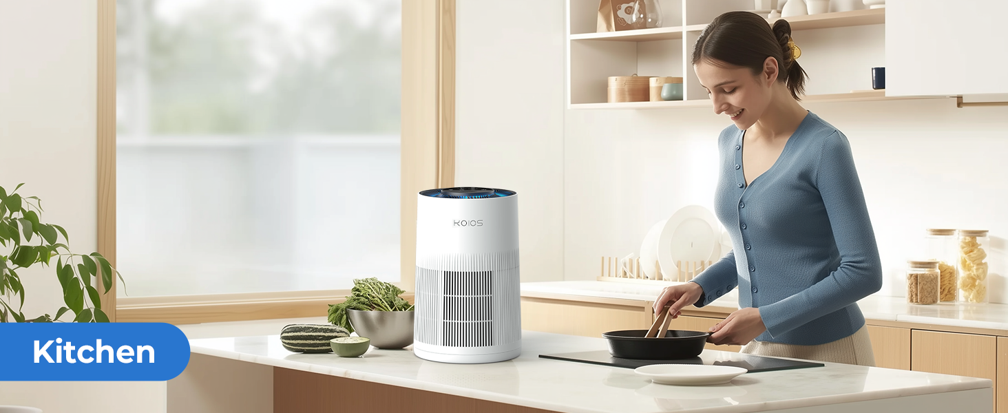 air purifiers for kitchen
