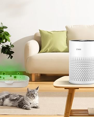 air purifier