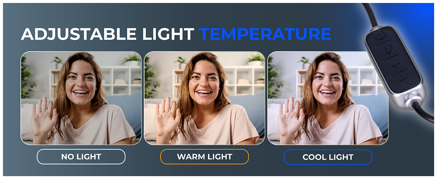 video conference light