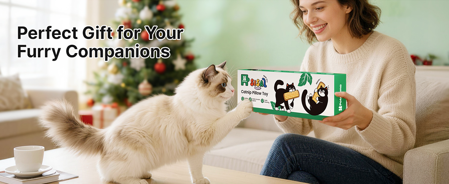 cat chew toy