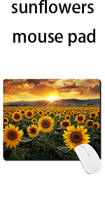 https://m.media-amazon.com/images/S/aplus-media-library-service-media/a9244010-99df-41fa-8d01-b5a1c3d656d6.__CR0,0,150,300_PT0_SX150_V1___.jpg