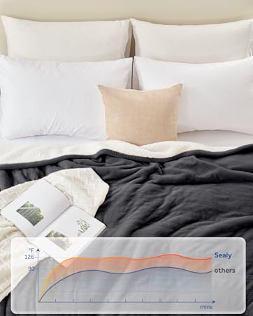 electric blanket queen