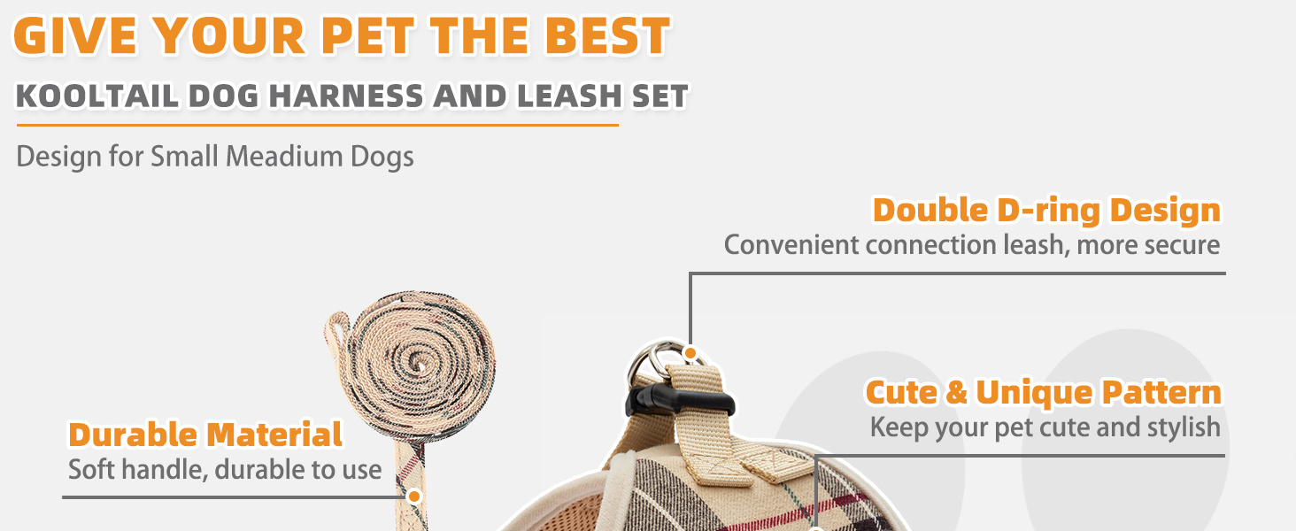 dog harness and leash set