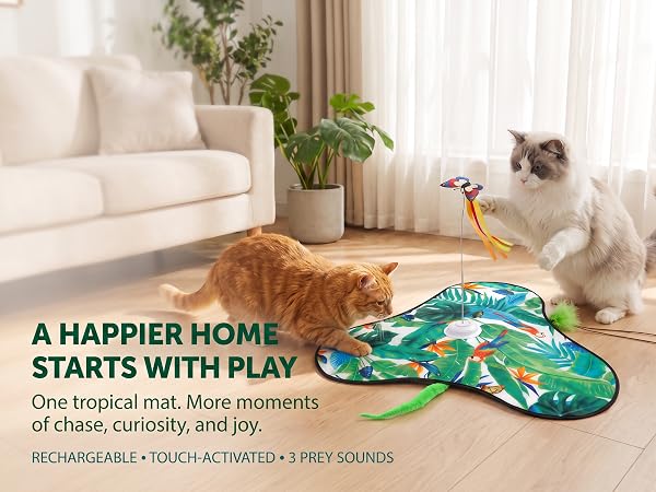 toys for cats