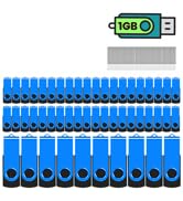 1gb