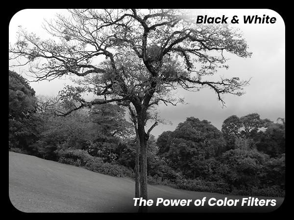 color range, vibrant colors, ISO 3200, 64 megapixel MP, Built-in wifi, hotshoe mount, sharp clear