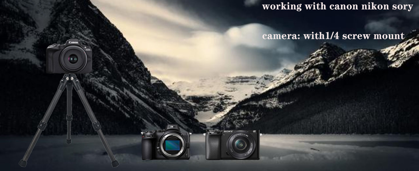 working with camera with 1/4 screw mount