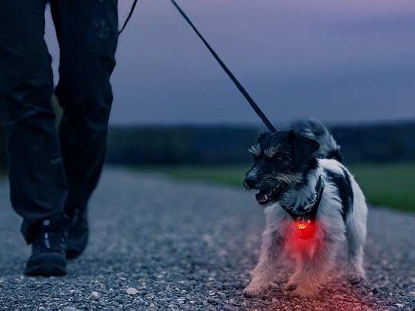 kids bike lights for night riding flashing lights for bikes bike lights for rear bike led light