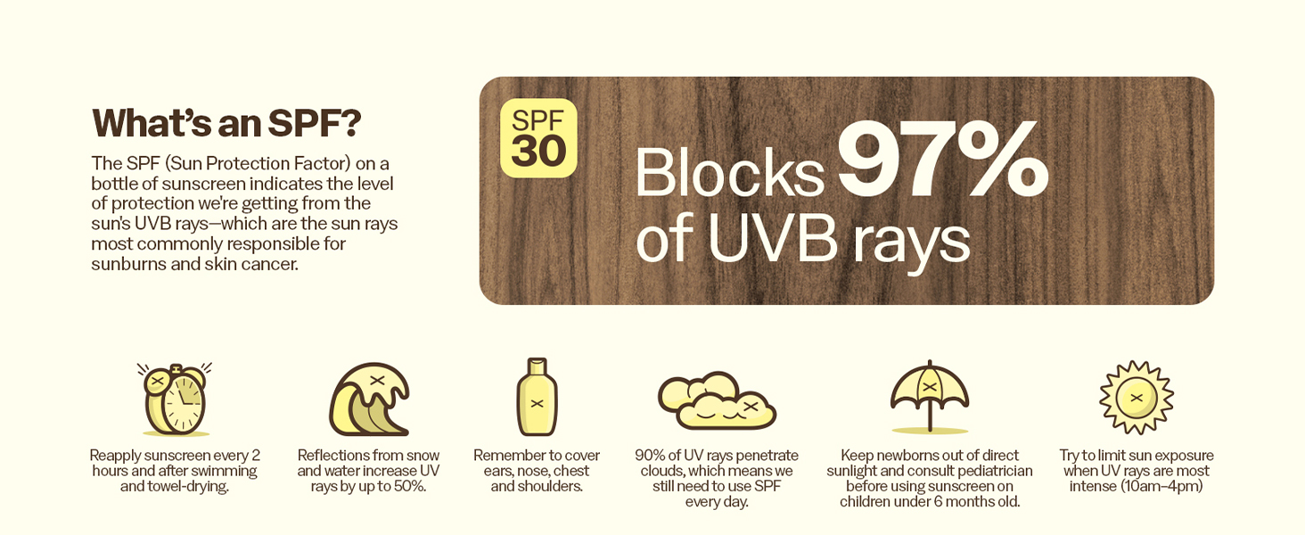 Sun Bum SPF 30 Education
