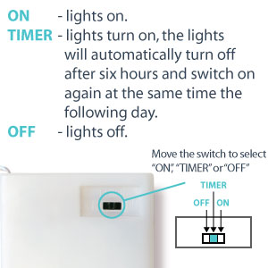 Battery powered christmas lights with white battery box, indoor string lights
