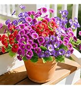 Waipfaru Artificial Flowers for Outdoors Faux Plants, UV Resistant Artificial Outdoor Flowers, Si...