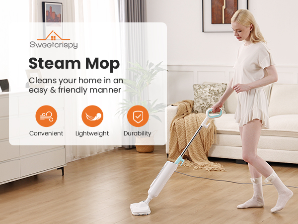 steam mop