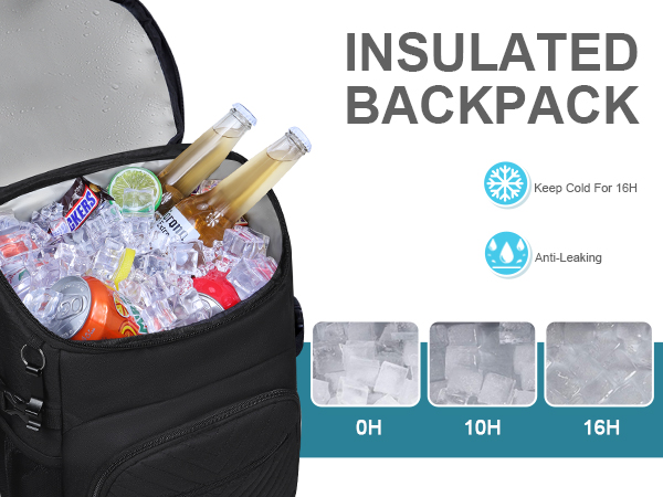 backpack cooler bag