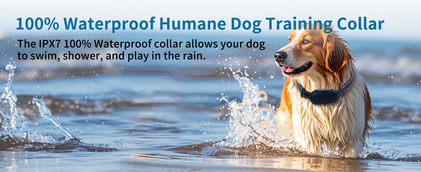 dog training collar 5