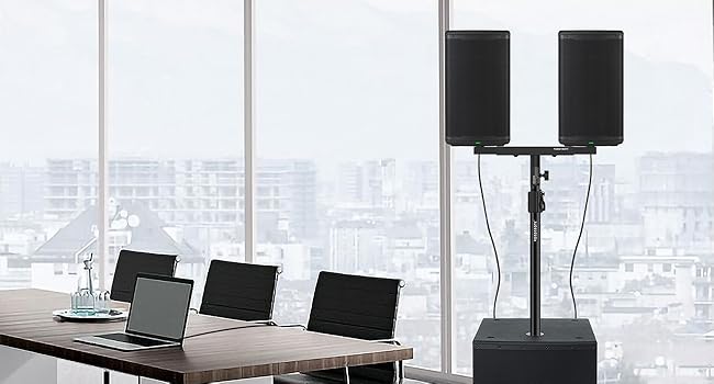 dual speaker mount