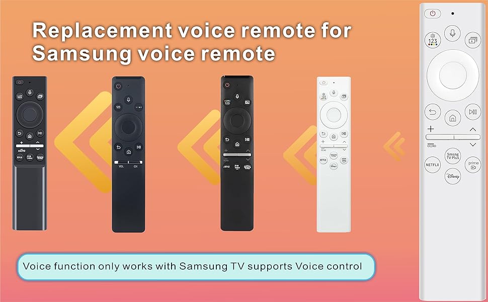 Samsung TV Remote