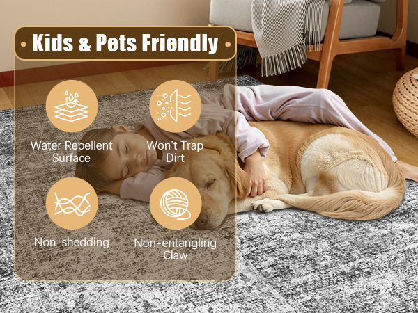 HIRUG Washable Area Rug