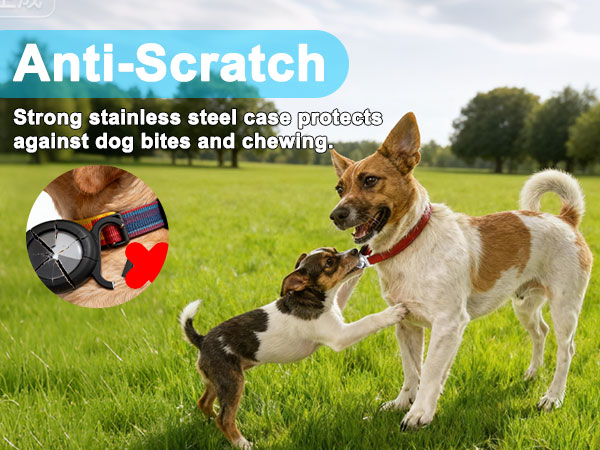 airtag case for dog collar