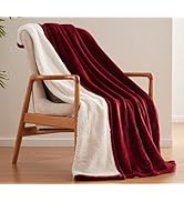Sealy Electric Blanket Throw Size 50