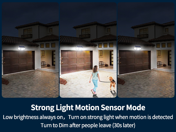 solar motion lights