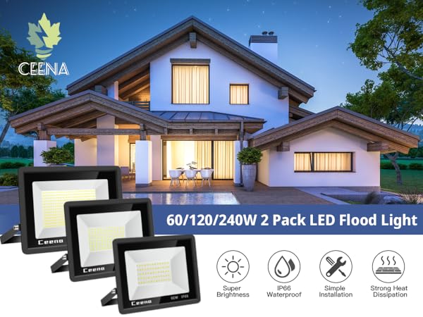 LED Flood Light