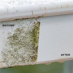 rmr 86,starbright,star brite,x-14,mildew and mold remover,home,rv,cleaner