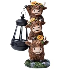 https://m.media-amazon.com/images/S/aplus-media-library-service-media/23eecc32-aec6-4f08-b93a-f11fb9a0badb.__AC_SR200,225___.jpg