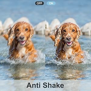 point and shoot camera